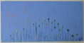 /album/pays-sage/bleuet1-copie-jpg/